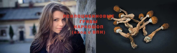 кокаин VHQ Тавда