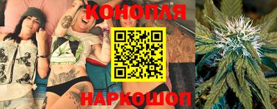 сатива Бузулук