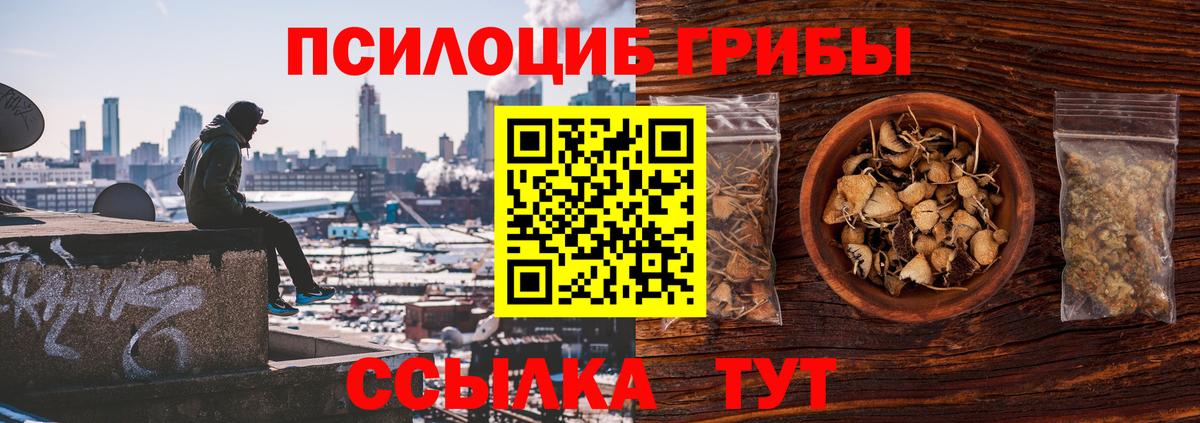 купить наркотики сайты  Псилоцибиновые грибы MAGIC MUSHROOMS  Елец  Галлюциногенные грибы Magic Shrooms 