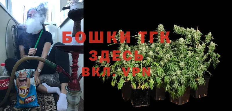 MEGA зеркало  купить наркоту  Елец  Каннабис SATIVA & INDICA 